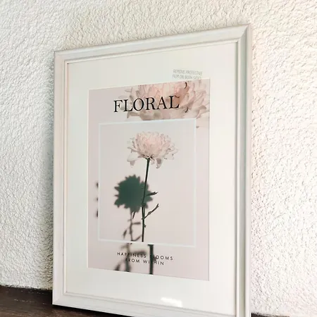 L'echo Du Castella *