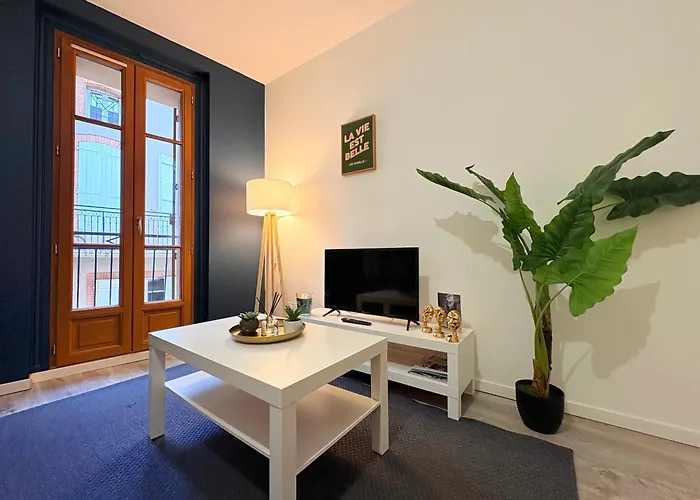 Appartamento L'écho Du Castella Pamiers